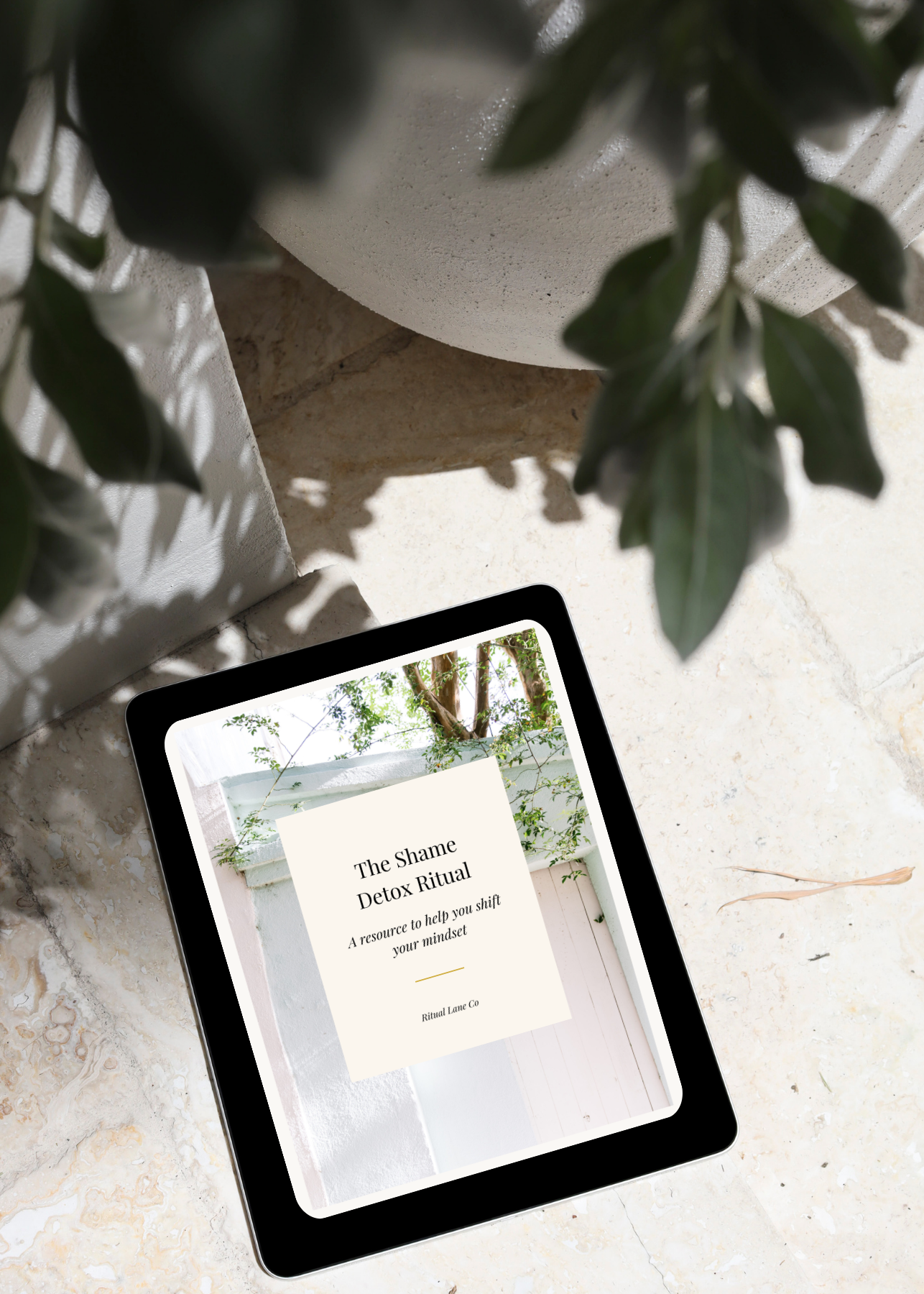 The Shame Detox Ritual