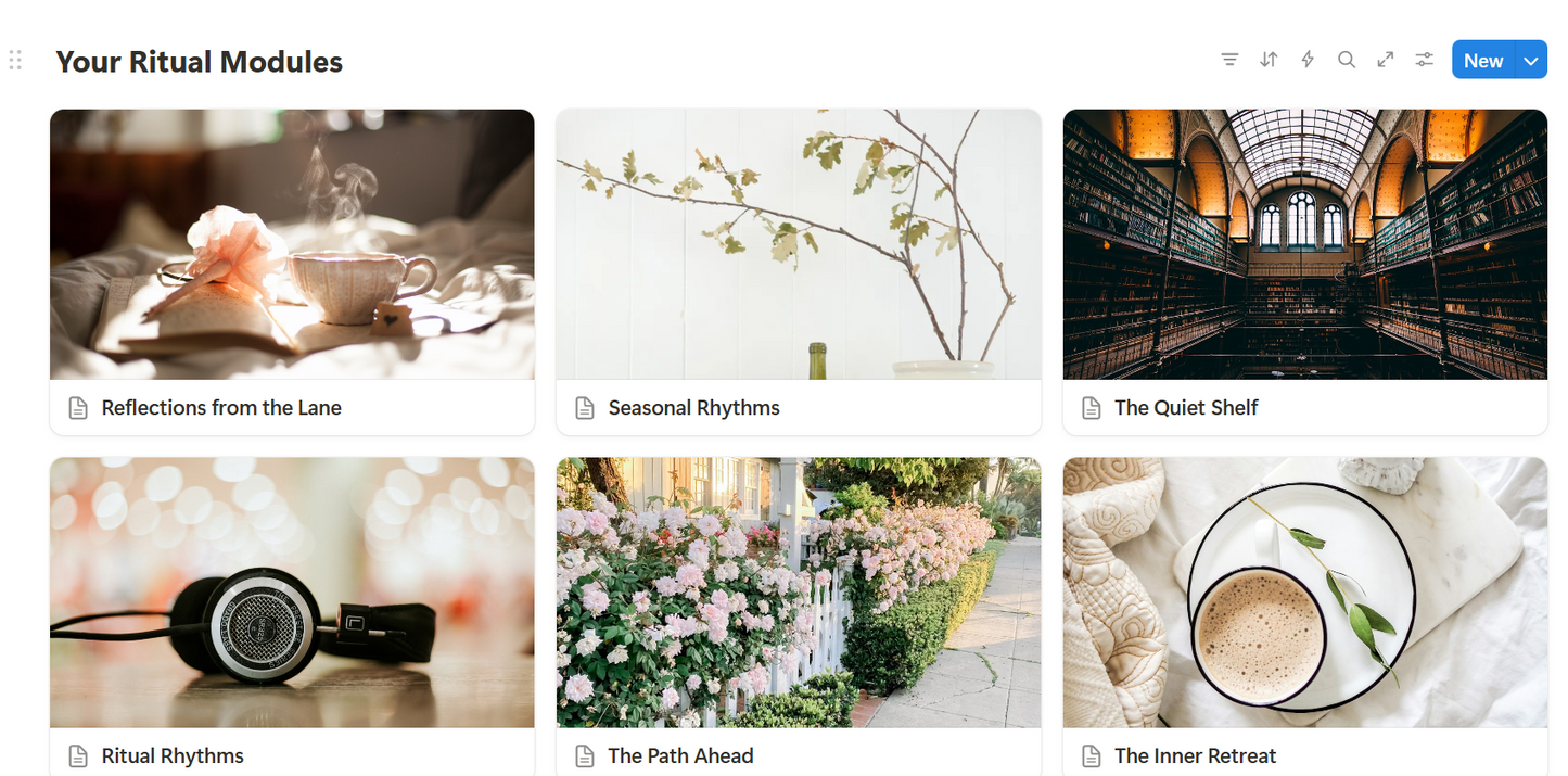 Ritual Lane: The Dashboard