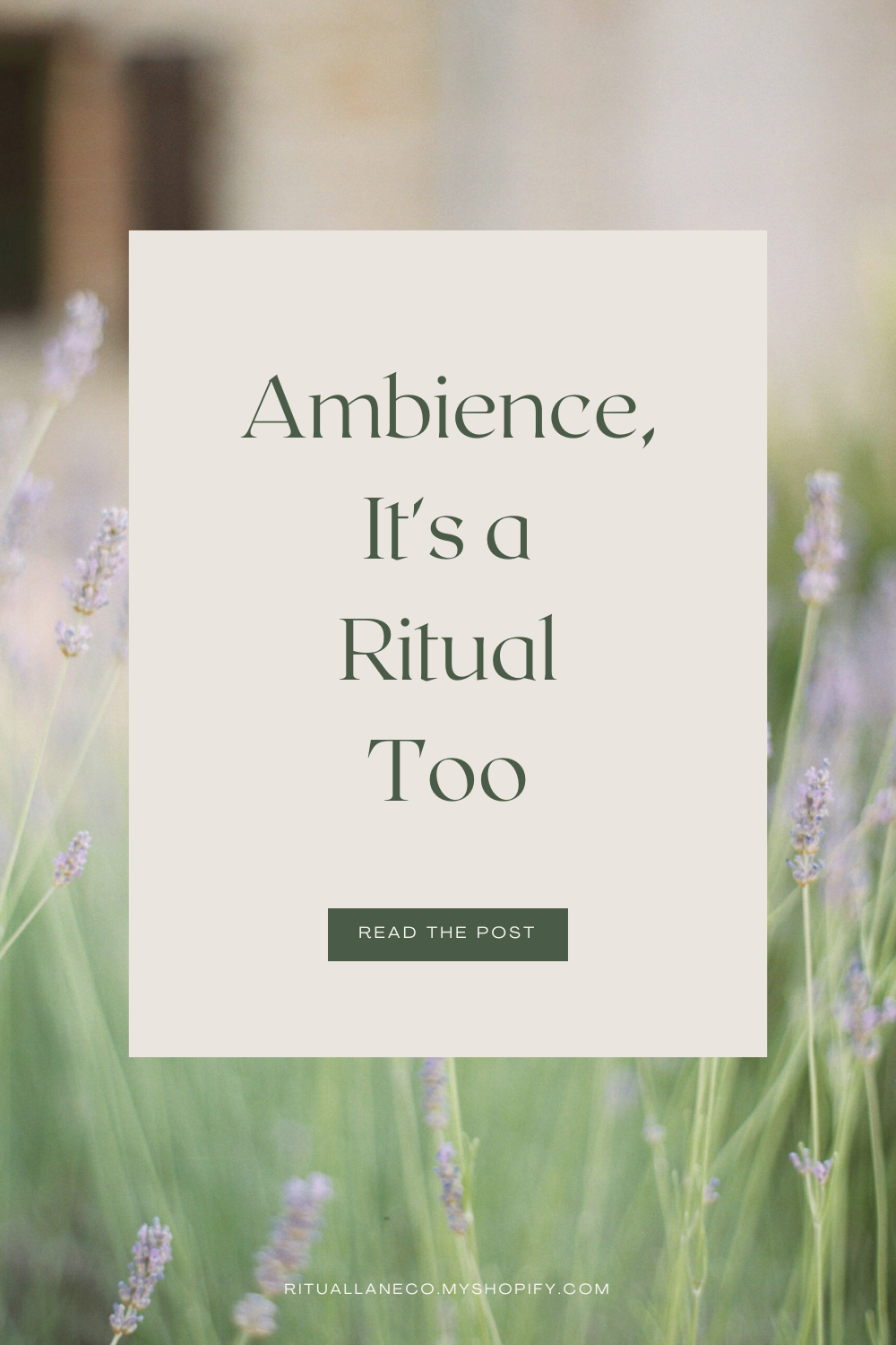 Ambience Is a Ritual, Too: Five Ways to Boost Clarity, Creativity, and Calm