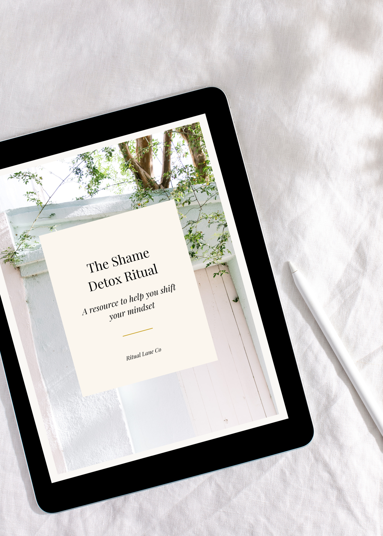 The Shame Detox Ritual