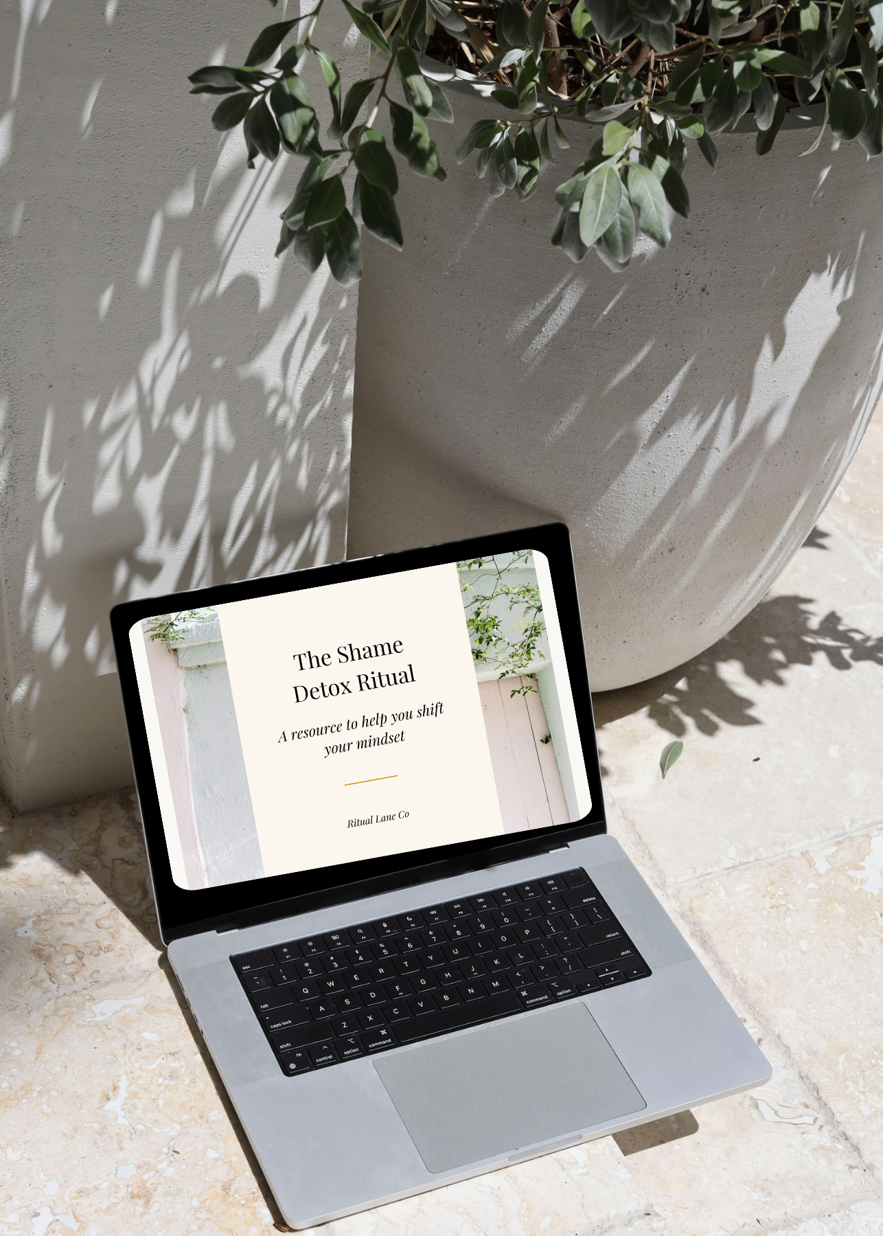 The Shame Detox Ritual