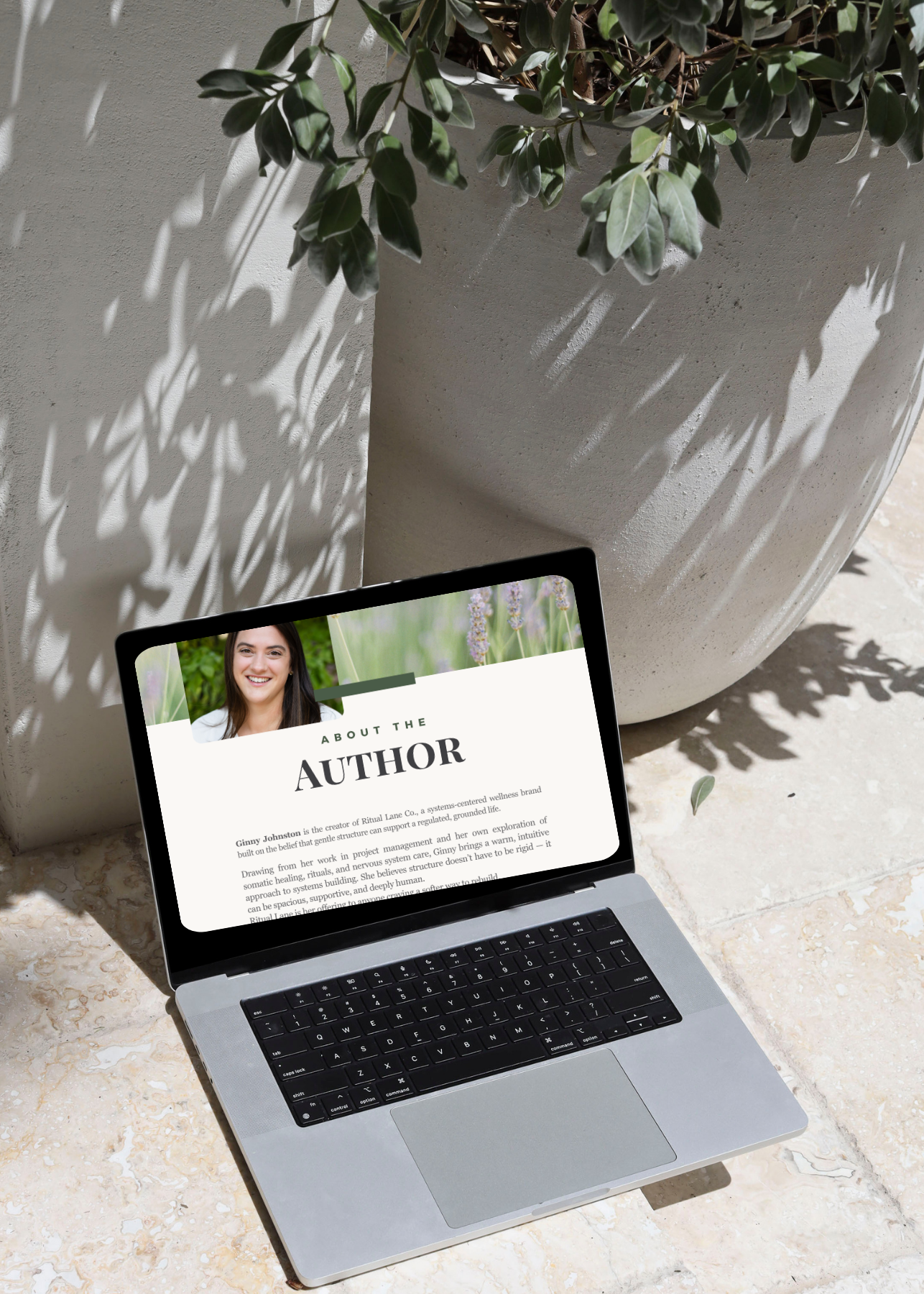 Build Your Own System E-Book | Nervous-System Ritual Guide