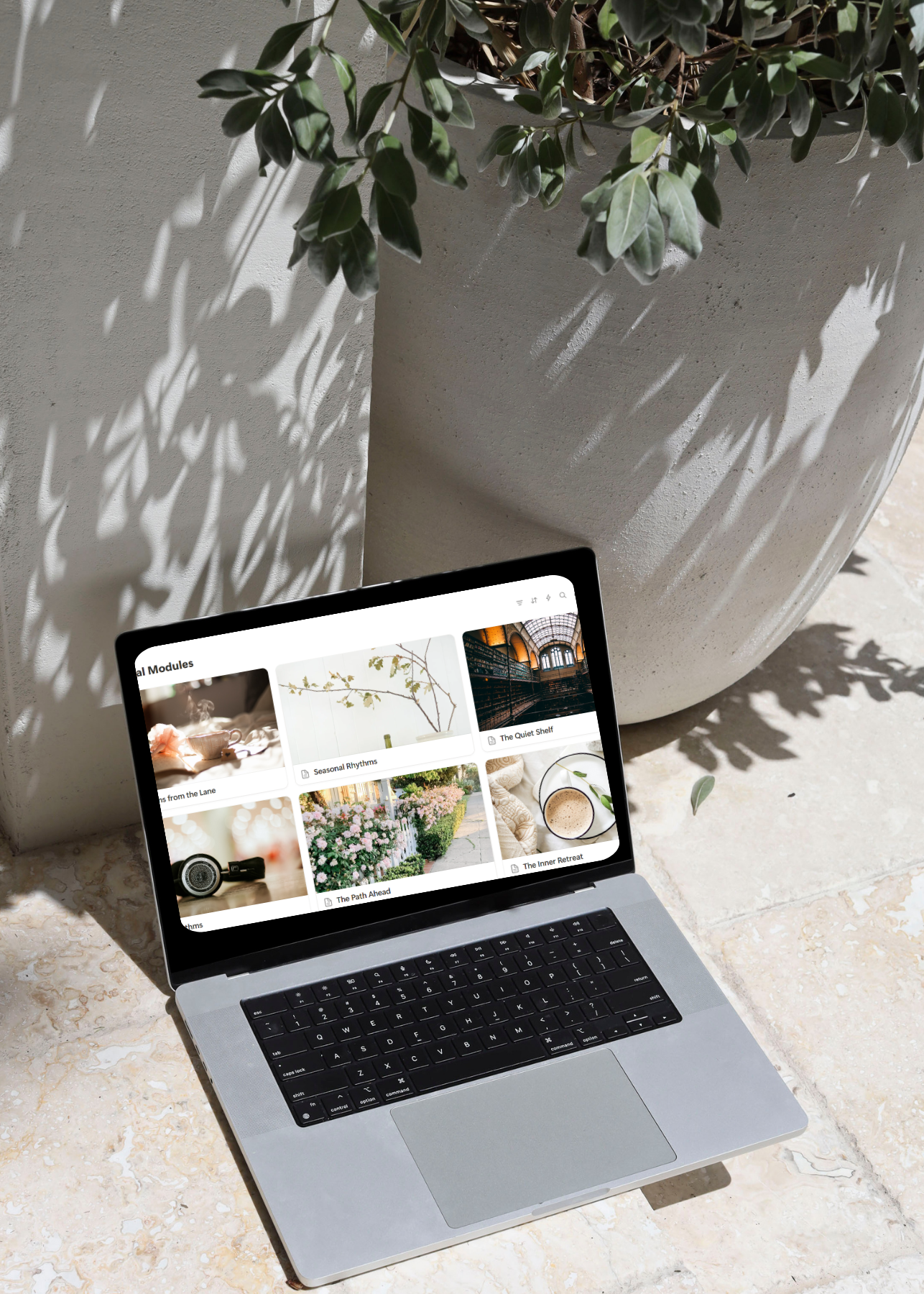 Ritual Lane: The Dashboard