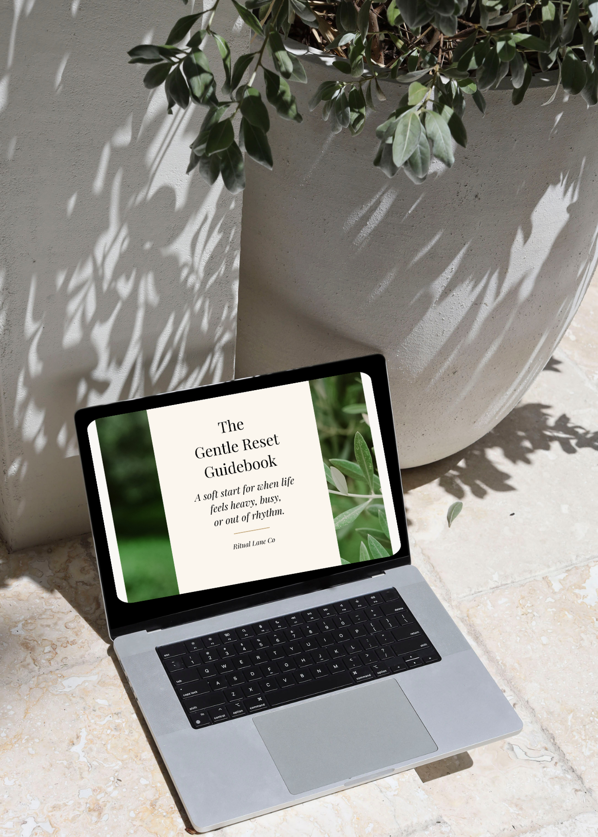 The Gentle Reset Guidebook