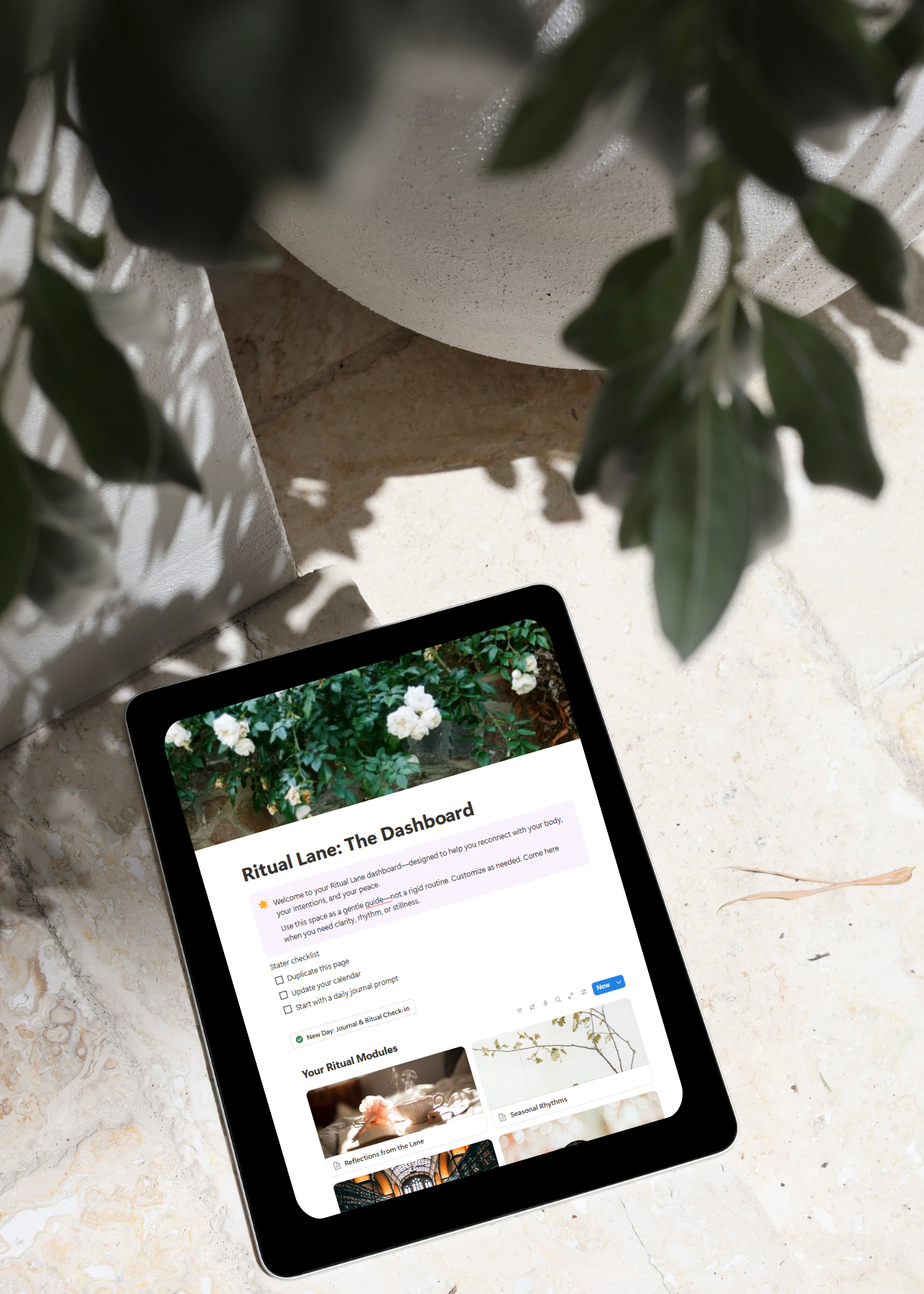 Ritual Lane: The Dashboard
