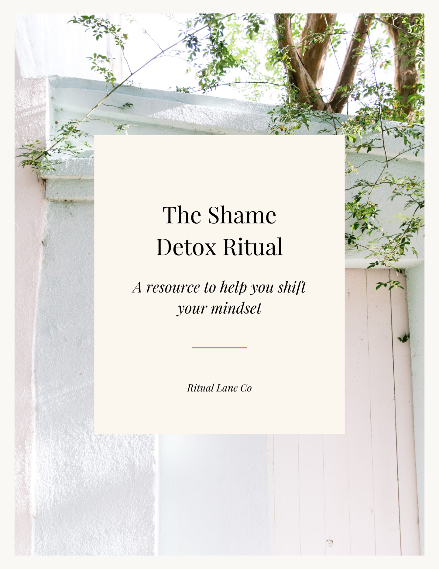 The Shame Detox Ritual